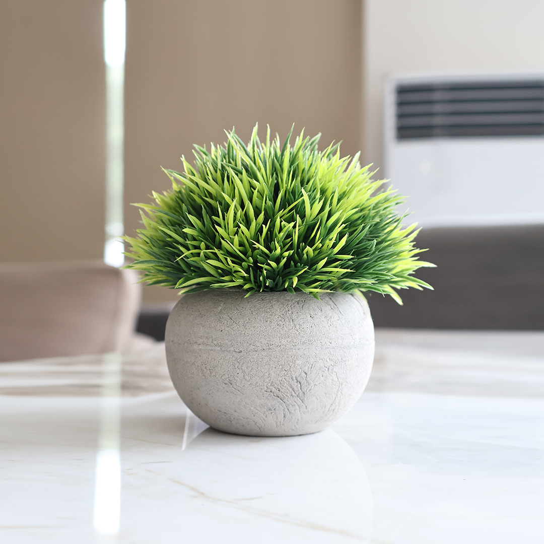 PYOTE Faux Plant PYOTE Faux Plant