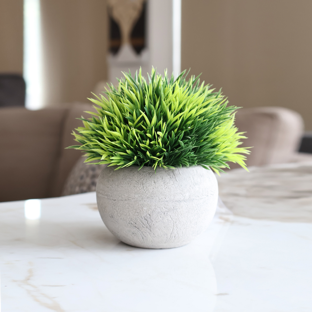 PYOTE Faux Plant Front PYOTE Faux Plant Front